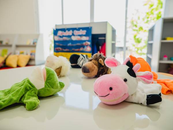 Bichos de pelúcia e brinquedos usados nas atividades da turma